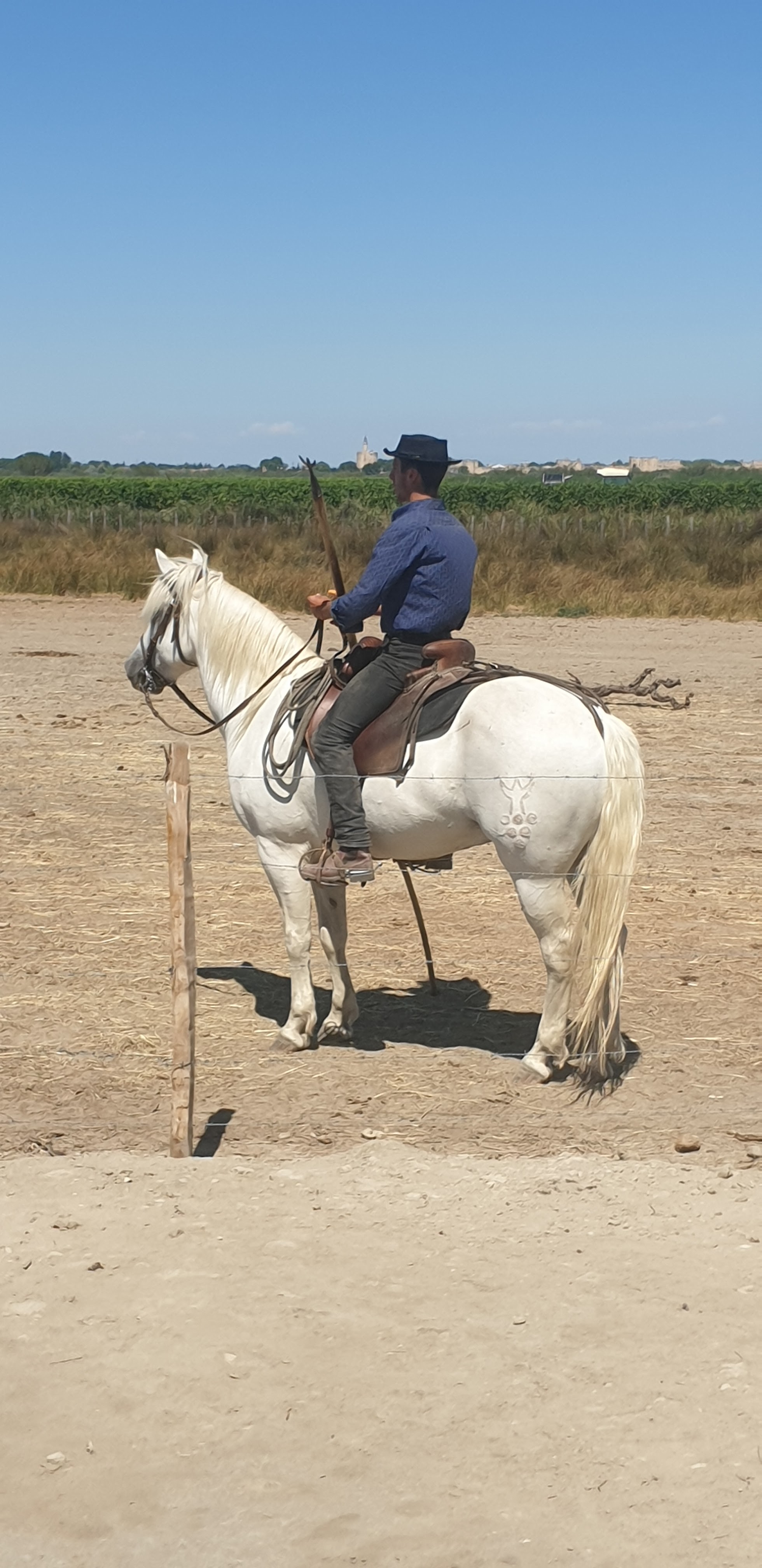 Photo n° 2 de l'avis de Carole.a fait le 18/07/2020 à 15:46