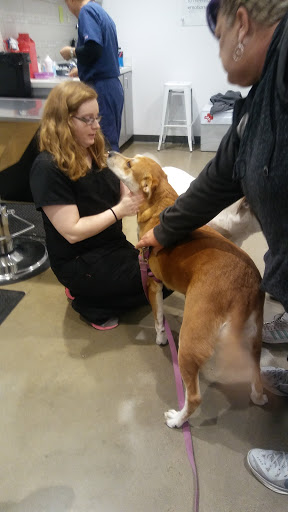 Pet Supply Store «Petco Animal Supplies», reviews and photos, 12611 Jefferson Davis Hwy, Chester, VA 23831, USA