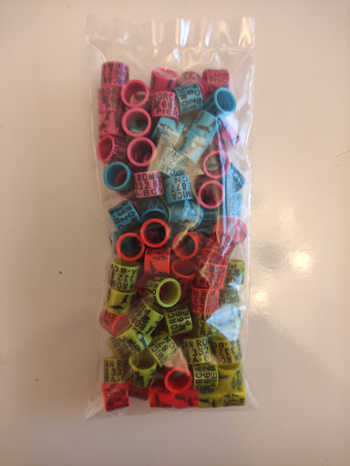 Agromascota mascotas