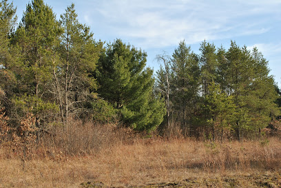 South Fork Barrens State Natural Area
