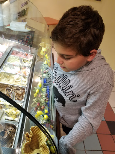 Ice Cream Shop «Dolce Gelato Cafe», reviews and photos, 41870 Garfield Rd, Charter Twp of Clinton, MI 48038, USA