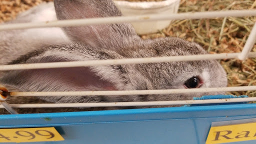 Pet Supply Store «O K Country Feed & Supply», reviews and photos, 250 Main St, Sweet Home, OR 97386, USA