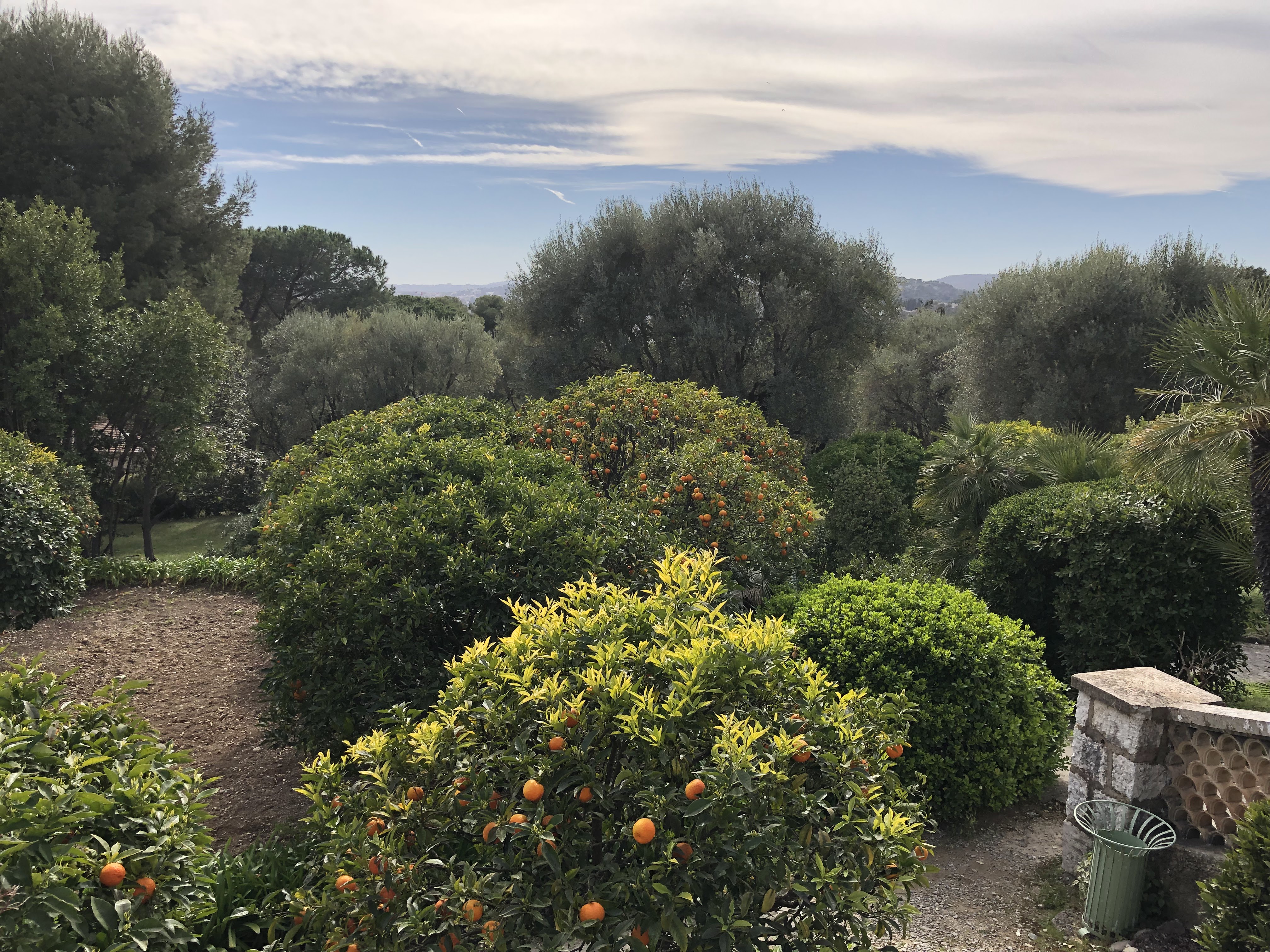 Photo n° 25 de l'avis de Denis.u fait le 25/04/2019 à 10:20