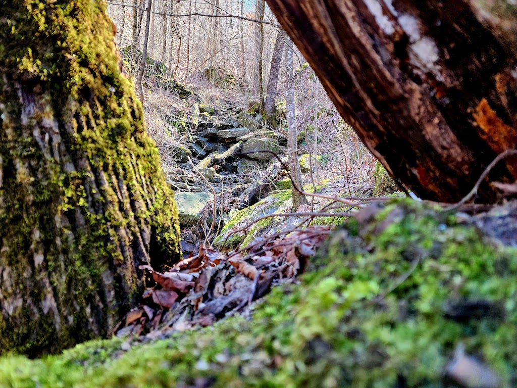 Kismet Wellness of NWA 72758