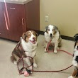 Willowbend Animal Hospital