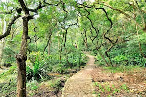 Twisk Nature Trail image