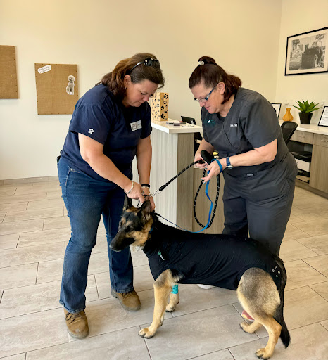 COTA Veterinary