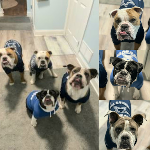 Insurance Agency «Lesa Yoho - State Farm Insurance Agent», reviews and photos