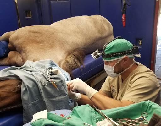 Beartooth Animal Hospital image