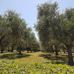 Photo n°5 de l'avis de Inga.n fait le 09/06/2018 à 05:21 sur le  Baia di Conte à Alghero