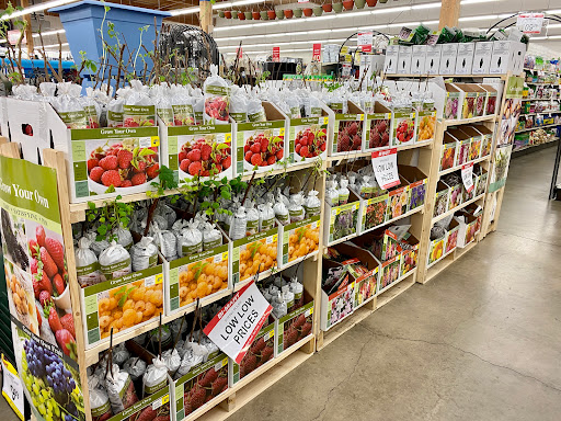 Department Store «Bi-Mart», reviews and photos, 1635 SW Baker St, McMinnville, OR 97128, USA