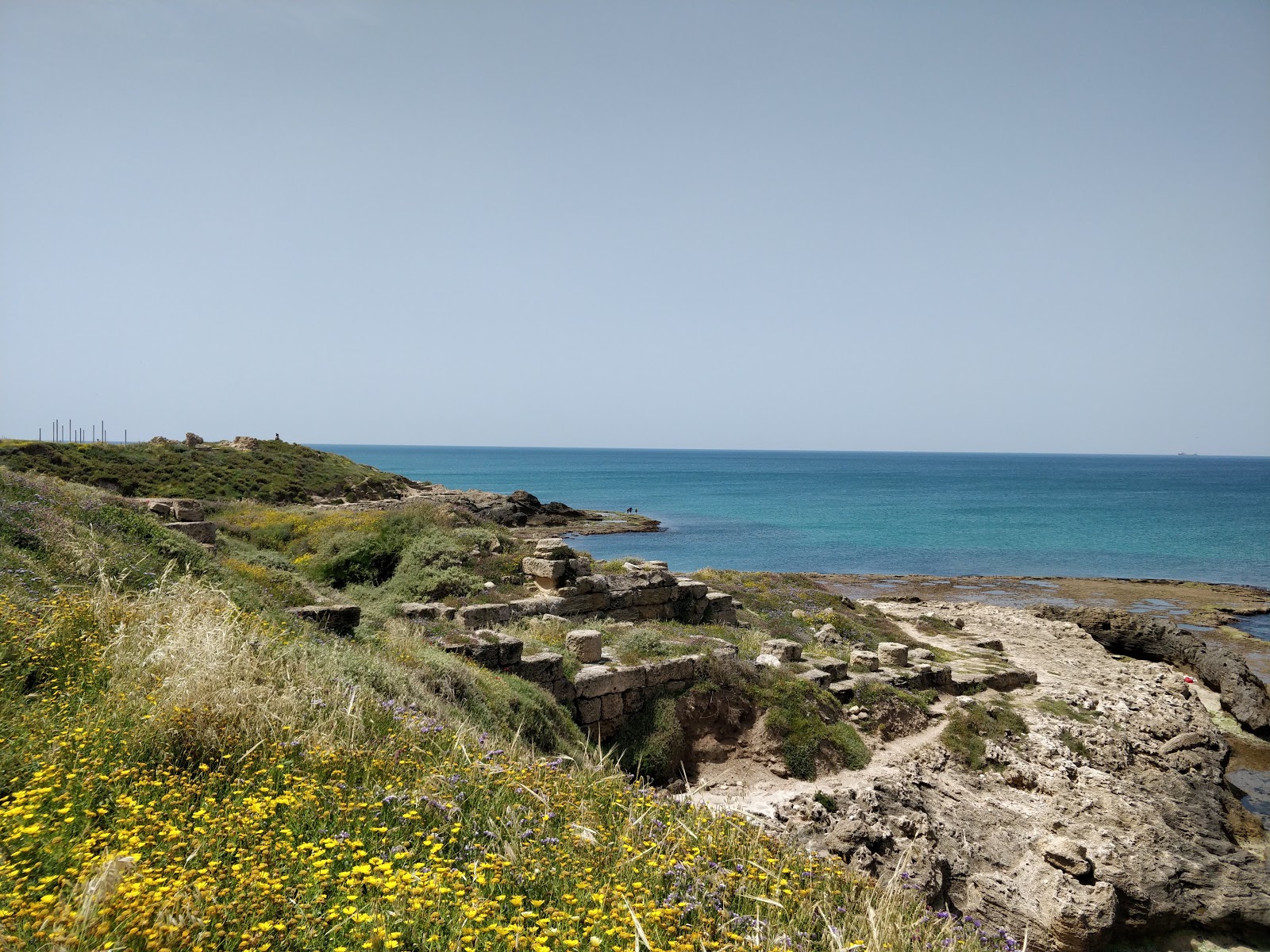 Photo of Nachsholim beach wild area