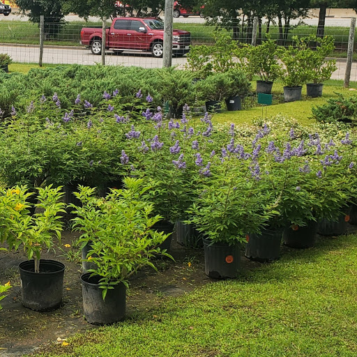 Plant Nursery «HOUSTON PLANTS & GARDEN WORLD», reviews and photos, 16726 North Fwy, Houston, TX 77090, USA