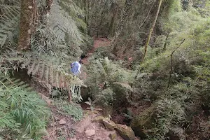 Siriema Waterfall image