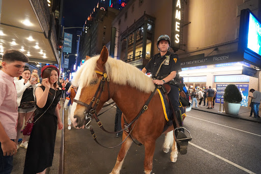 Performing Arts Theater «Majestic Theatre», reviews and photos, 245 W 44th St, New York, NY 10036, USA