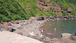 Photo de Plage de Maidencombe avec petite baie