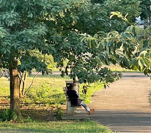 Park «Baisley Pond Park», reviews and photos, Baisley Blvd, Jamaica, NY 11434, USA