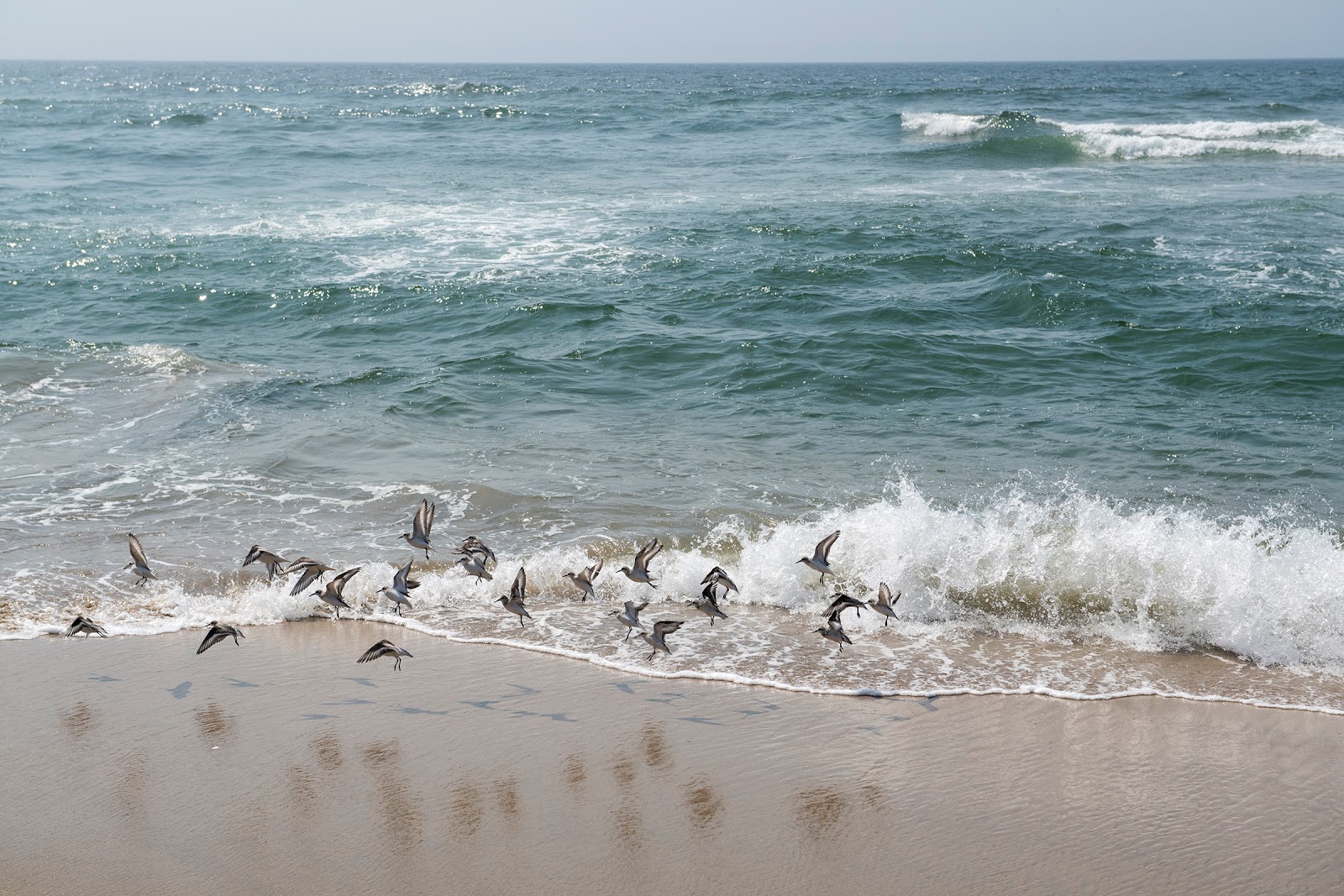 Fotografie cu Tunitas Beach amplasat într-o zonă naturală