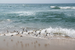Tunitas Beach'in fotoğrafı ve güzel manzarası