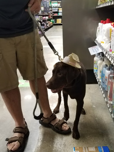 Pet Supply Store «Petco Animal Supplies», reviews and photos, 9350 US 49 a, Gulfport, MS 39503, USA