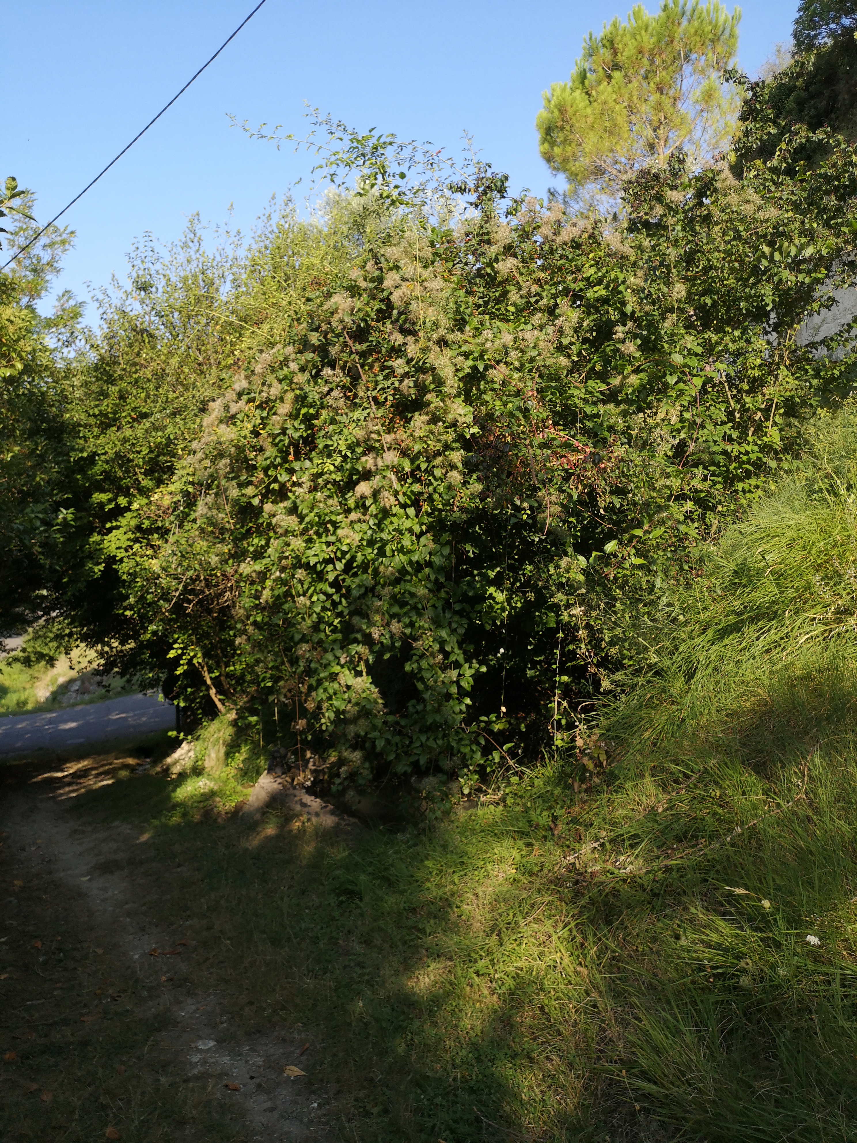 Photo n° 4 de l'avis de marion.r fait le 24/08/2021 à 08:22