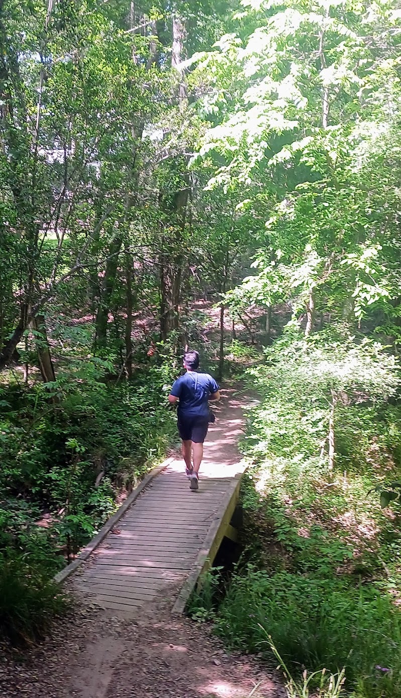 Terry Hershey Park Hike & Bike Trail - The Anthills