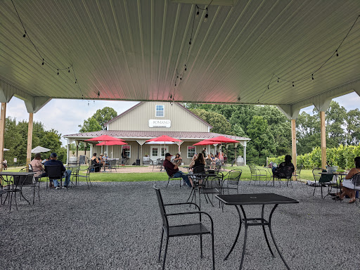 Vineyard «Romano Vineyard & Winery», reviews and photos, 15715 Bald Eagle School Rd, Brandywine, MD 20613, USA