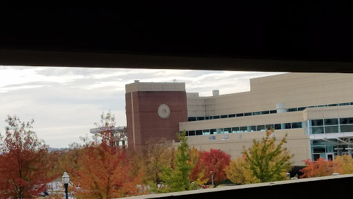 Arena «Colonial Life Arena», reviews and photos, 801 Lincoln St, Columbia, SC 29201, USA