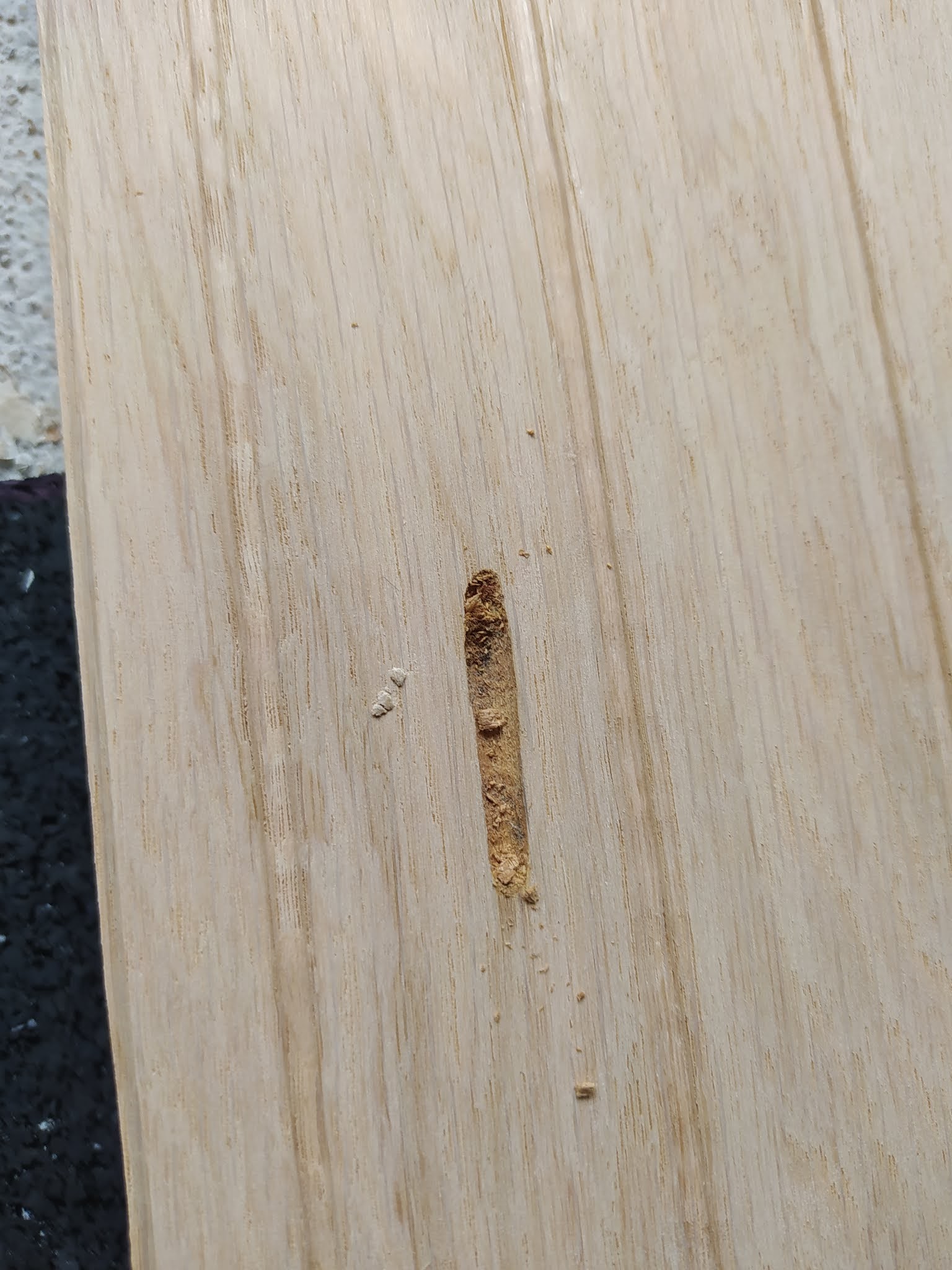 Photo n° 2 de l'avis de Bastien.e fait le 17/08/2021 à 14:16
