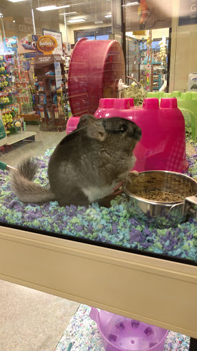 Pet Supply Store «PetSmart», reviews and photos, 1225 Industrial Rd, San Carlos, CA 94070, USA