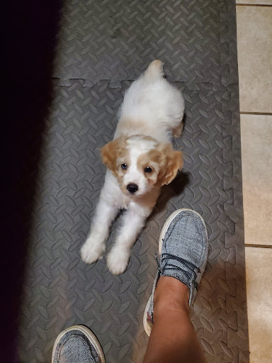 492 W Christine Rd, Nottingham, PA 19362, USA