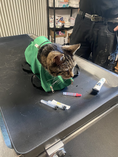 Pferdepraxis am Weinberg - Judith Vetter unter Hausen, Bayern