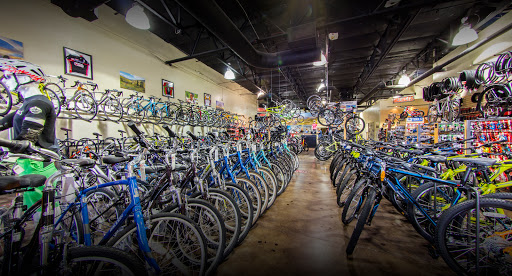 Bicycle Store «Global Bikes - Chandler North», reviews and photos, 2915 W Ray Rd, Chandler, AZ 85224, USA