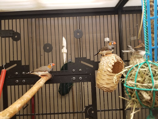 Pet Supply Store «PetSmart», reviews and photos, 6100 Arlington Blvd, Falls Church, VA 22044, USA