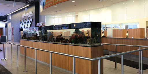 Credit Union «Michigan First Credit Union», reviews and photos