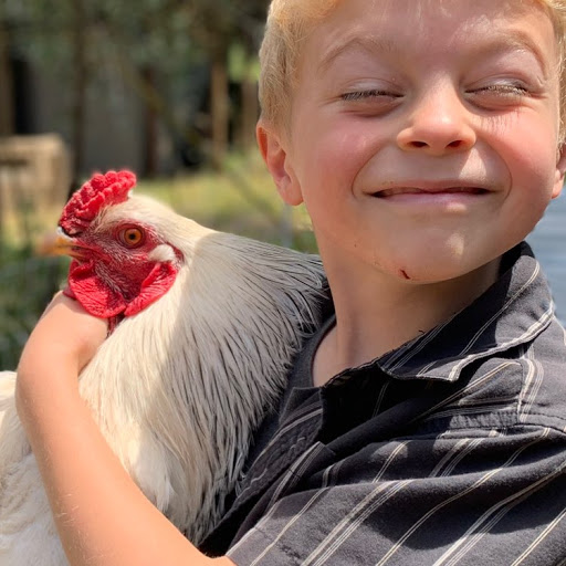 Pet Supply Store «Aptos Feed & Pet Supply», reviews and photos, 7765 Soquel Dr C, Aptos, CA 95003, USA