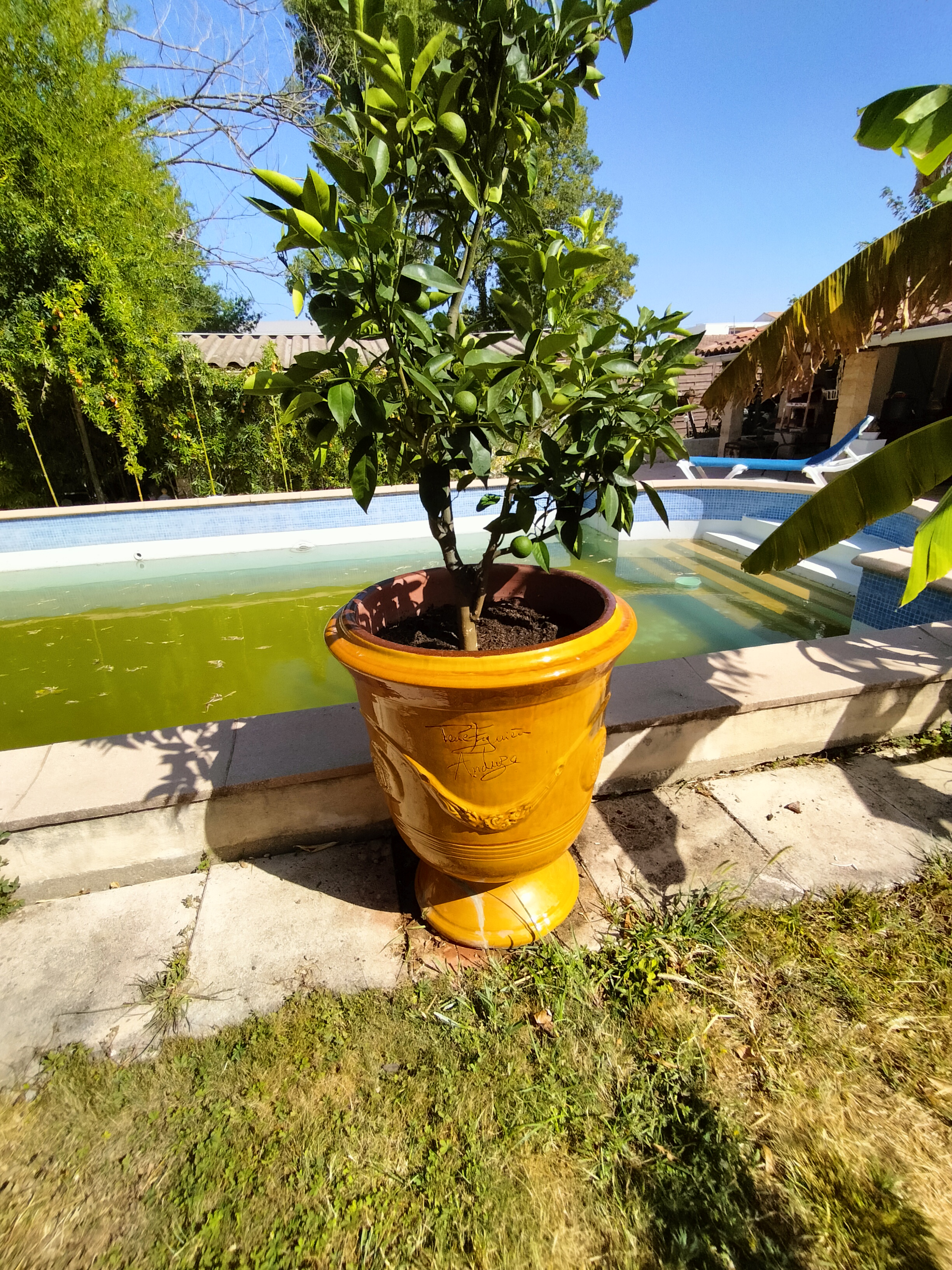 Photo n° 3 de l'avis de paulet.a fait le 25/08/2023 à 19:38