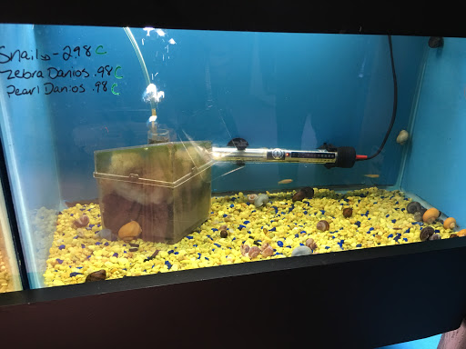 Pet Store «AquaVarium Pets And Supplies», reviews and photos, 95 W Bridge St, Catskill, NY 12414, USA