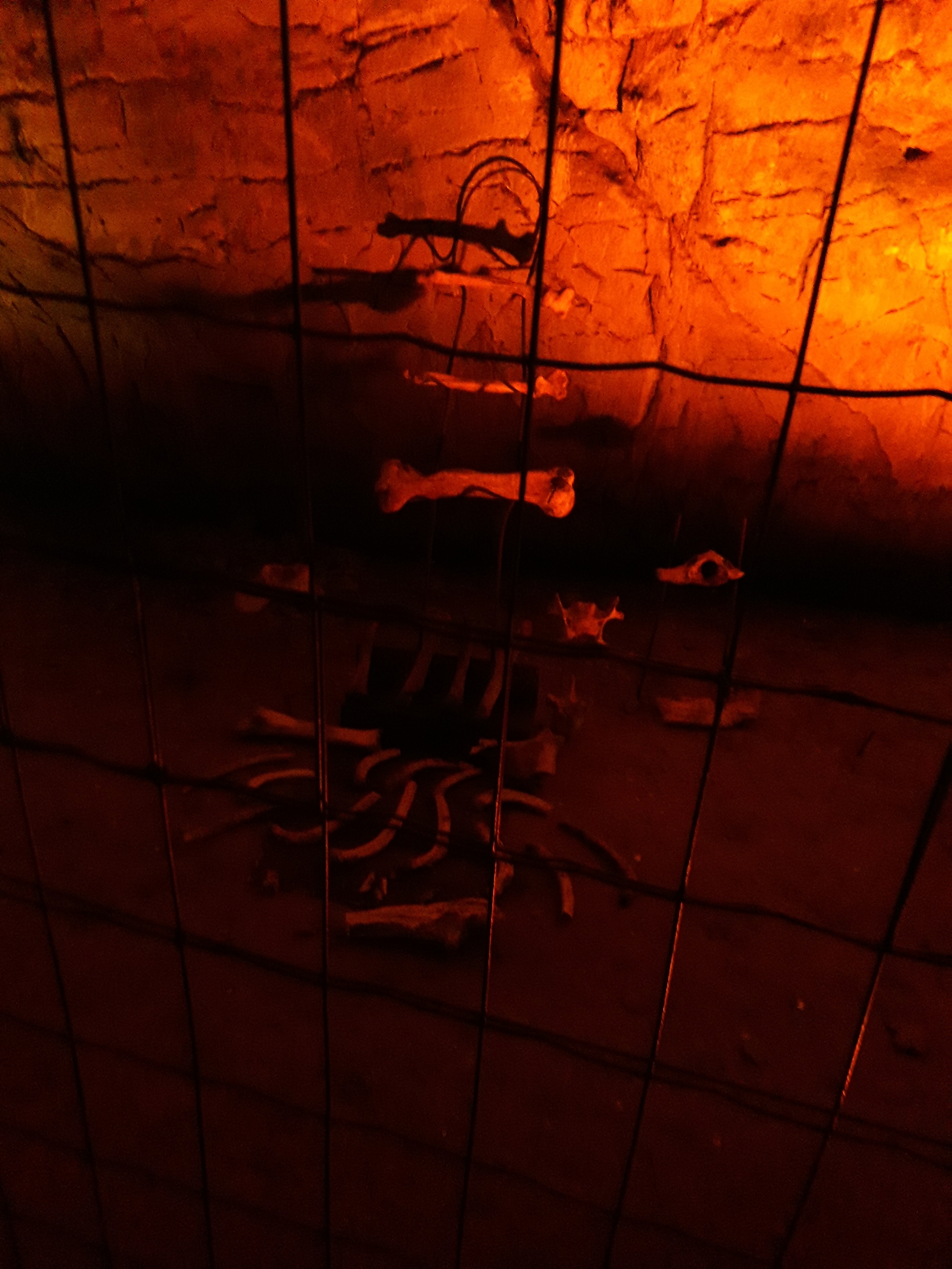 Photo n° 2 de l'avis de ALSVLD. fait le 22/08/2019 à 18:04