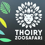 Photo n° 14 de l'avis de Christian.U fait le 14/03/2023 à 07:18 pour Zoo Thoiry à Thoiry