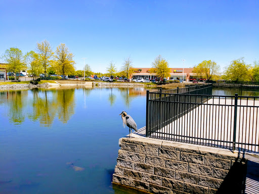 Shopping Mall «Creeks at Virginia Centre», reviews and photos, 9850 Brook Rd, Glen Allen, VA 23059, USA