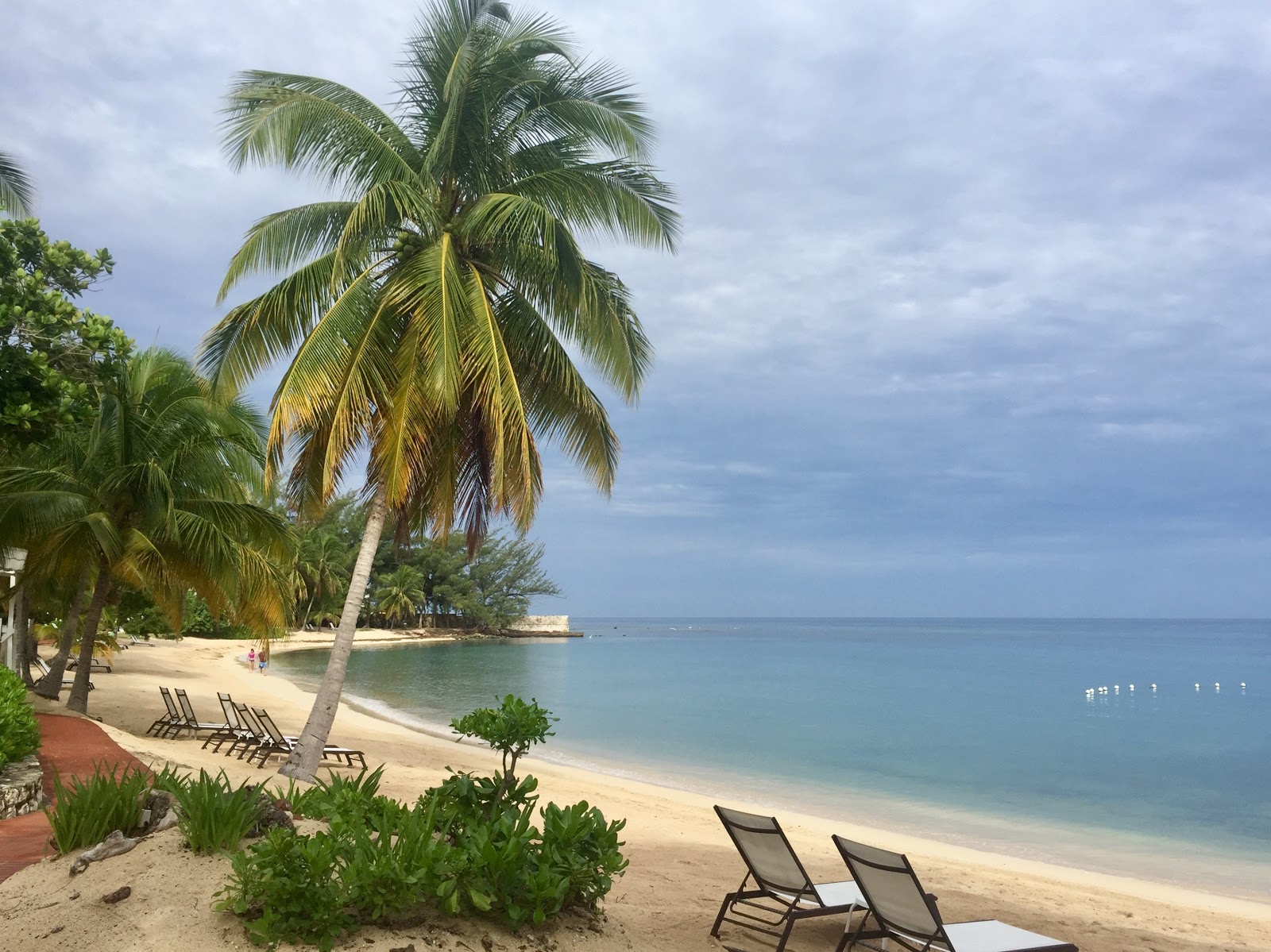 Foto von Half Moon Beach und seine wunderschöne Landschaft