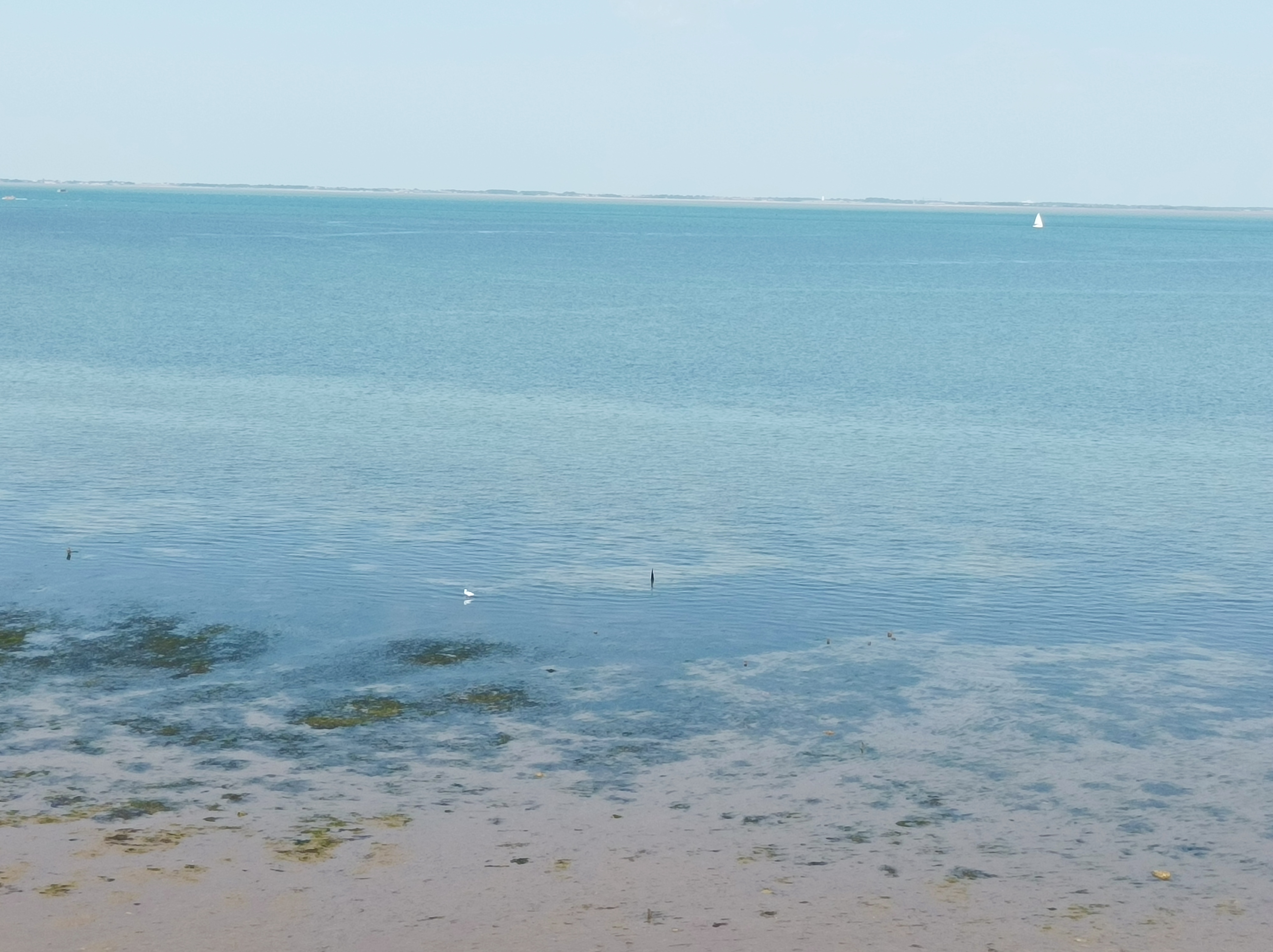 Photo n° 6 de l'avis de cedric.u fait le 31/07/2021 à 13:25