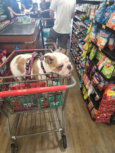 Supermarket «Stater Bros. Markets», reviews and photos, 2841 Mary St, Riverside, CA 92506, USA