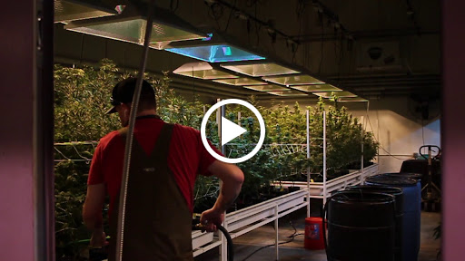 Homeopathic Pharmacy «Kind Pain Management Inc.», reviews and photos, 2636 Youngfield St, Lakewood, CO 80215, USA