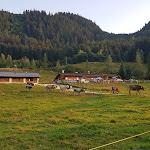 Photo n°2 de l'avis de Milva.a fait le 13/09/2020 à 20:34 sur le  Agritur Malga Salanzada à Masi di Cavalese