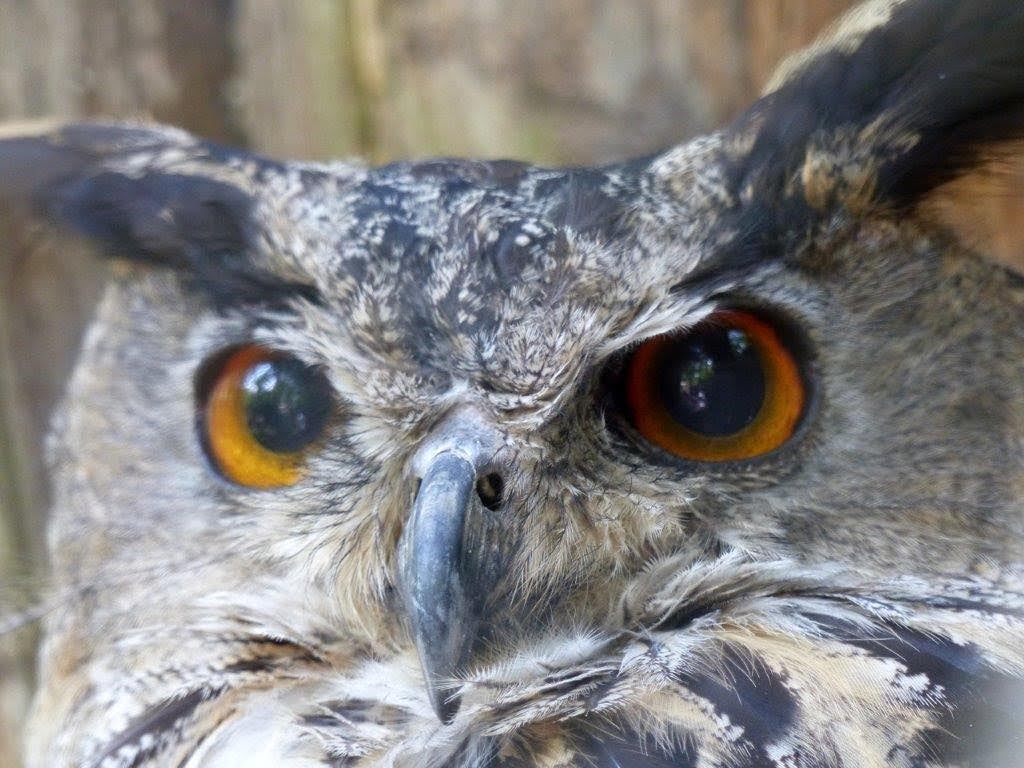 Photo n° 9 de l'avis de Nathalie.. fait le 17/08/2022 à 20:25