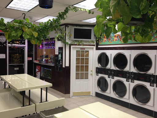 Laundry Service «Y & S Laundromat & Dry Cleaning», reviews and photos, 259 Westport Ave, Norwalk, CT 06851, USA