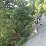 Photo n°3 de l'avis de Mjriam.a fait le 14/06/2018 à 09:28 sur le  Rifugio Pornito à Maranola