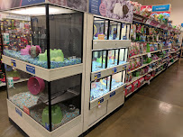 PetSmart - Photo 9 - Car repair in Omaha, NE, Omaha